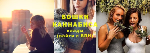трава Абаза